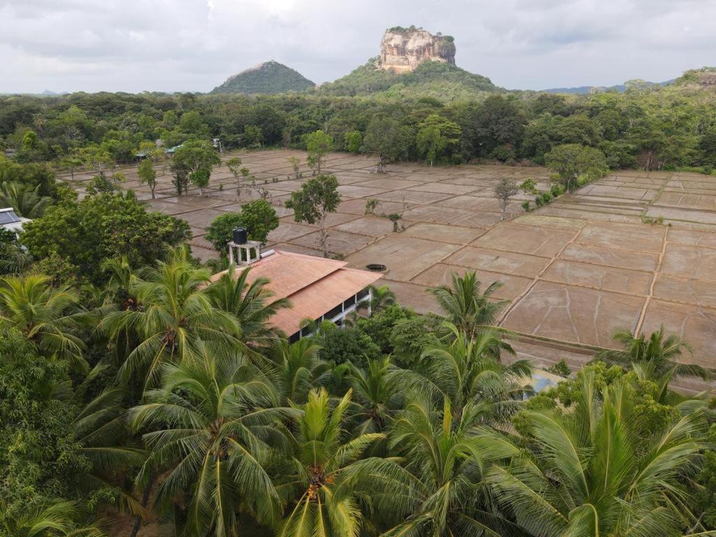 Castle View Sigiriya Hotel Luaran gambar
